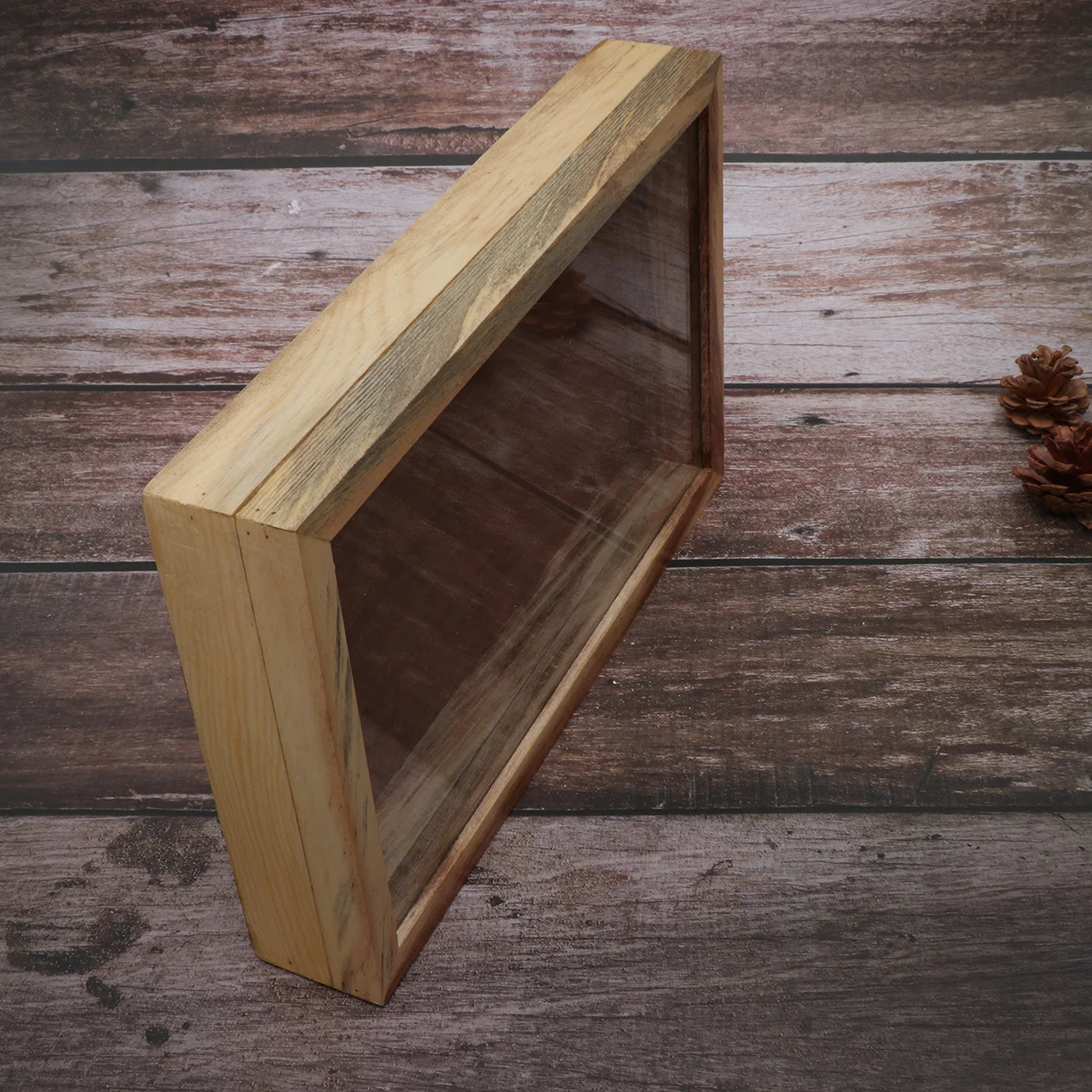 

Wooden Specimen Box Display Case For Plant Insect Storage Easy Fixed Tool Capture Kit