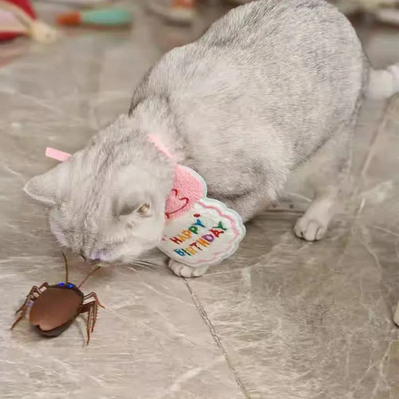 Tour électrique cafard animal de compagnie RC Simulation araignée robotique télécommande fourmi jouet Halloween noël Mini cadeau pour adulte blague insecte