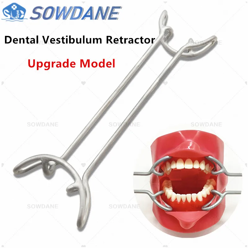 

Upgrade Dental Orthodontic Vestibulum T Shape Retractor Lip and Cheek Retractor Mouth Gag Opener Mouth Retractor Double Ends