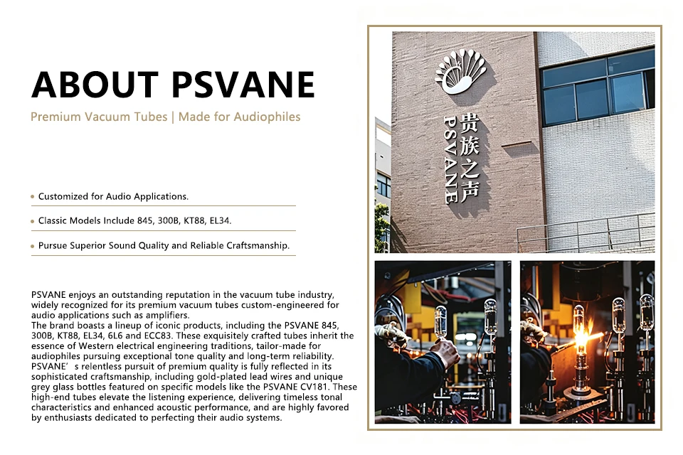 PSVANE KT88 Vakuumröhre-OLDCHEN, Ersatz für KT88C/ 6550, Hi-Fi-Audio-Röhre für Verstärker – Detail 8