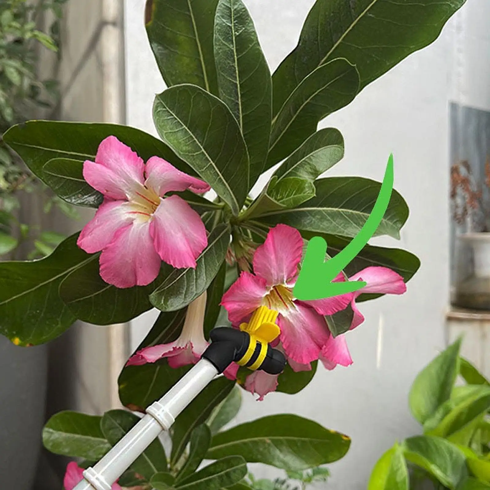 

Electric Flower Pollinator High Efficient for Kiwis Outdoor Greenhouse