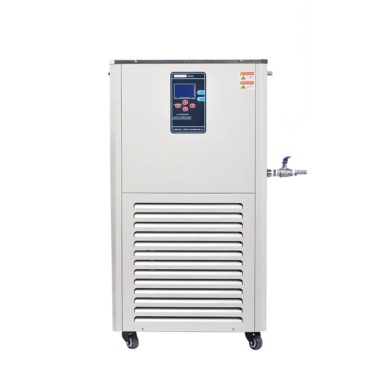 Linbel 10L DLSB-30-10 Factory Price Low Temperature Recirculating Chiller