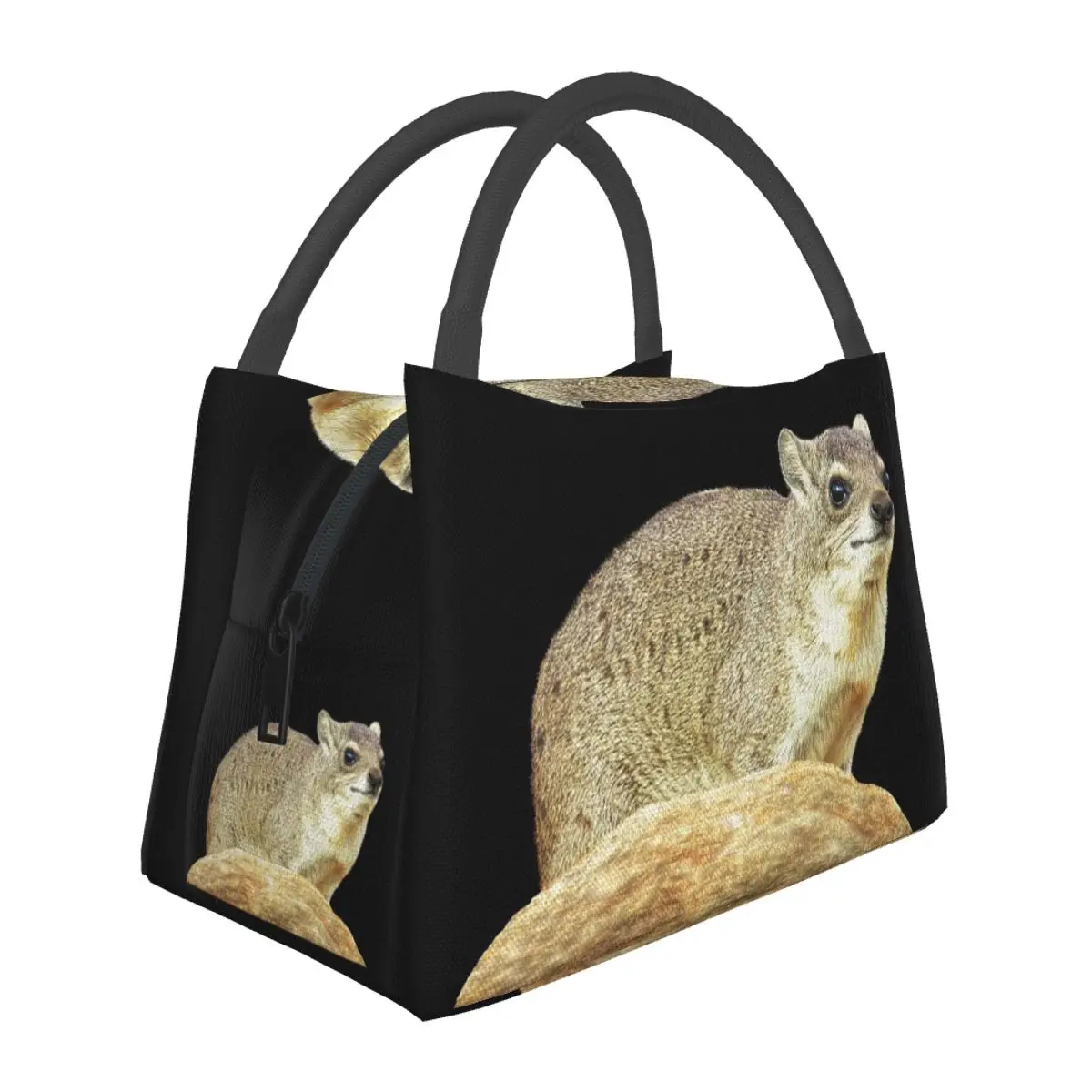 Rock Hyrax Desert Badger In Kenya Africa Lunch Bags Bento Box Lunch Tote Picnic Bags Cooler Thermal Bag for Woman Girl Travel