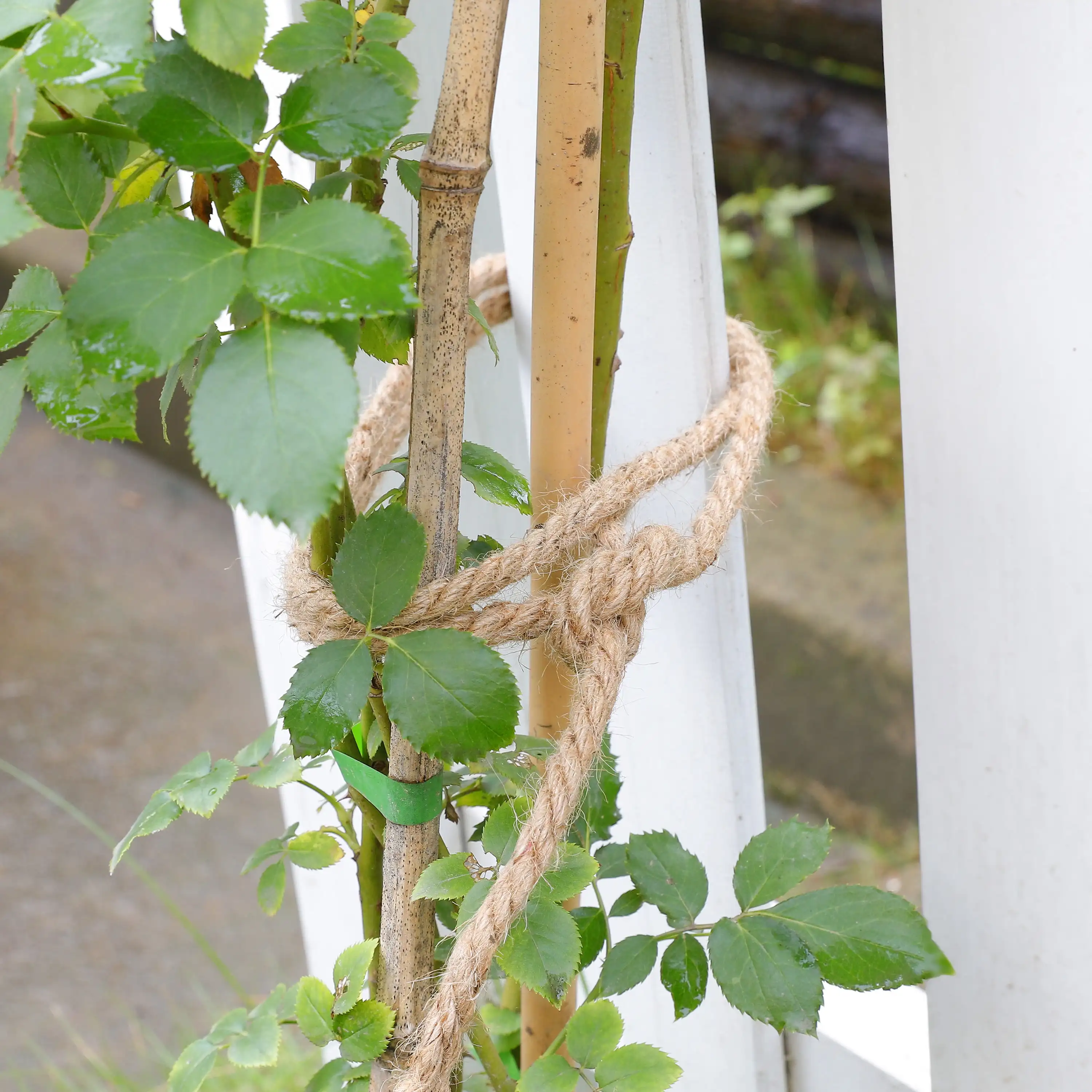 (4 pack) 5/16 in x 50 ft Jute Twine,Ideal for crafting, Gardening, Bundling tasks around the home or garden