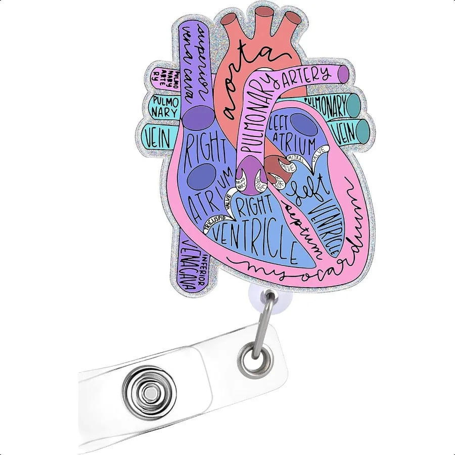 

Держатель катушки с сердечком, выдвижной с зажимом для удостоверения личности для медсестер, именной бирки, карты, анатомии, анатомический кардиак, медсестра, студенческий доктор R