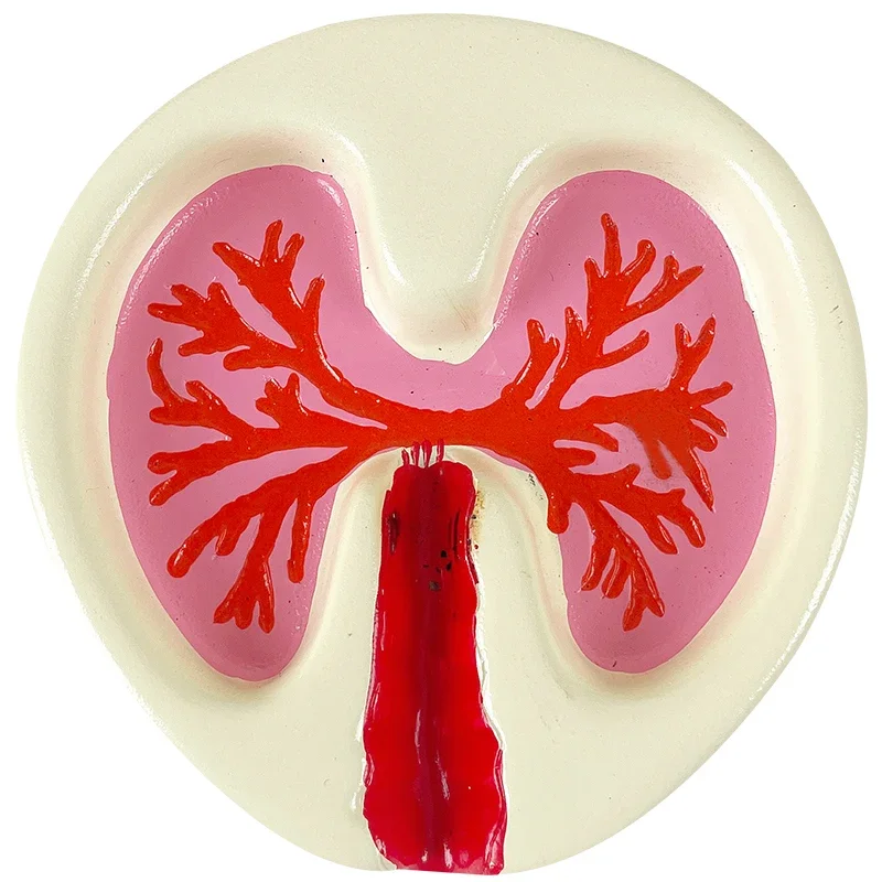 Cute Creative Funny Lungs Heart Lung Shape Ashtray