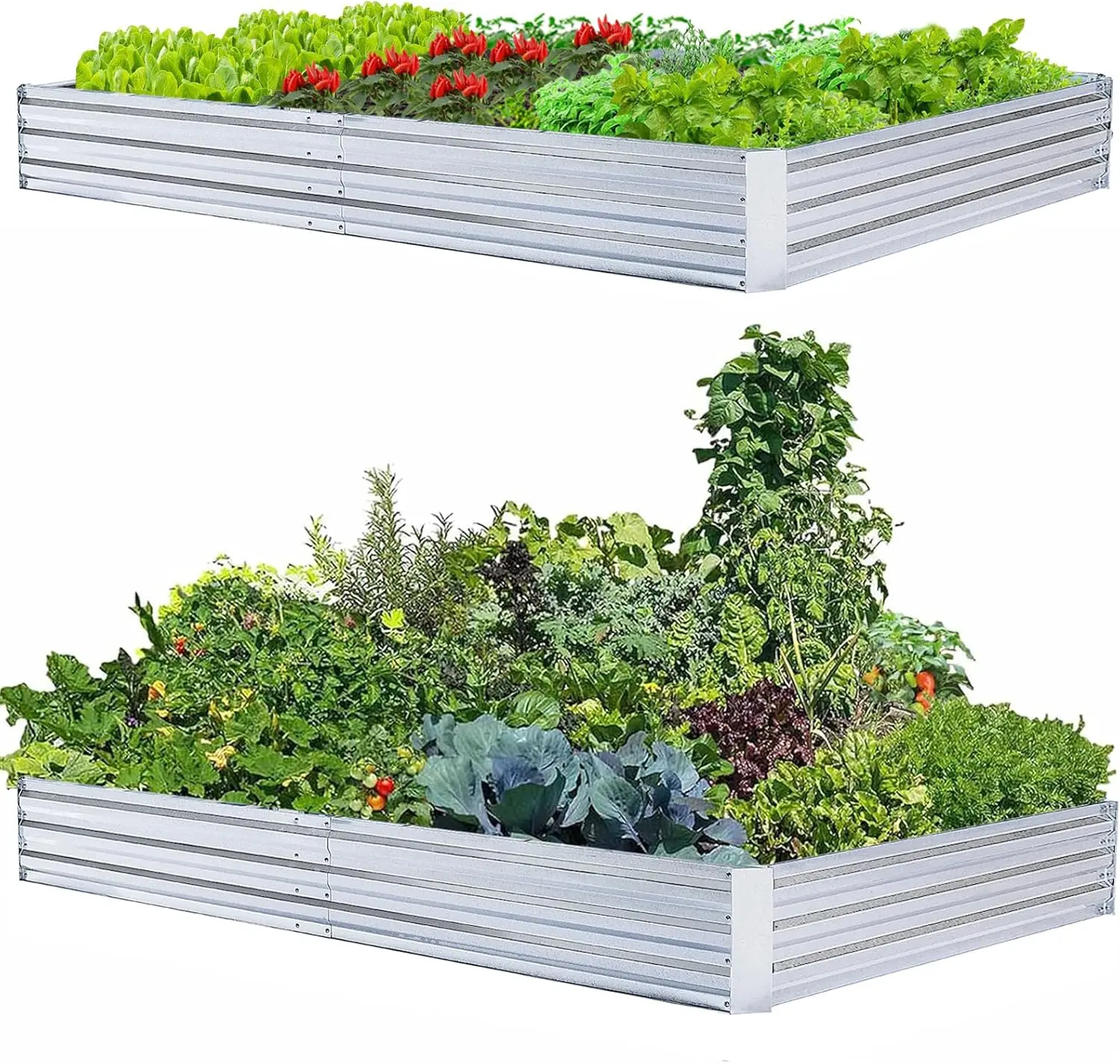 

Large Galvanized Steel Raised Garden Beds Kit (8x4x1ft, 2-Pack) for Vegetables Flowers Herbs