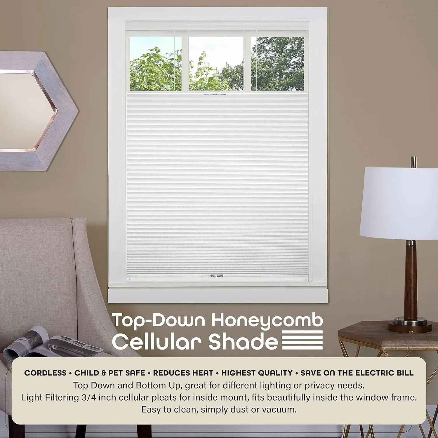 Cordless Cellular Pleated Window Shades - 36 Inch Width, 64 Inch Length - Light Filtering Top-Down Honeycomb Pull Down Blinds