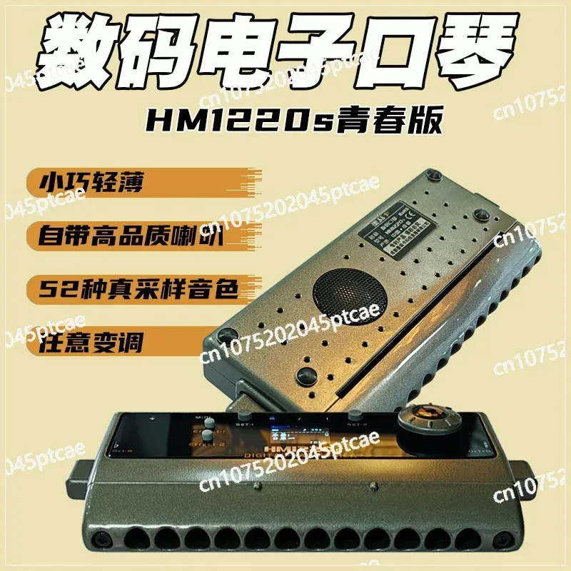 HM1220 [12 Holes 155 Tones] Built-in Speaker