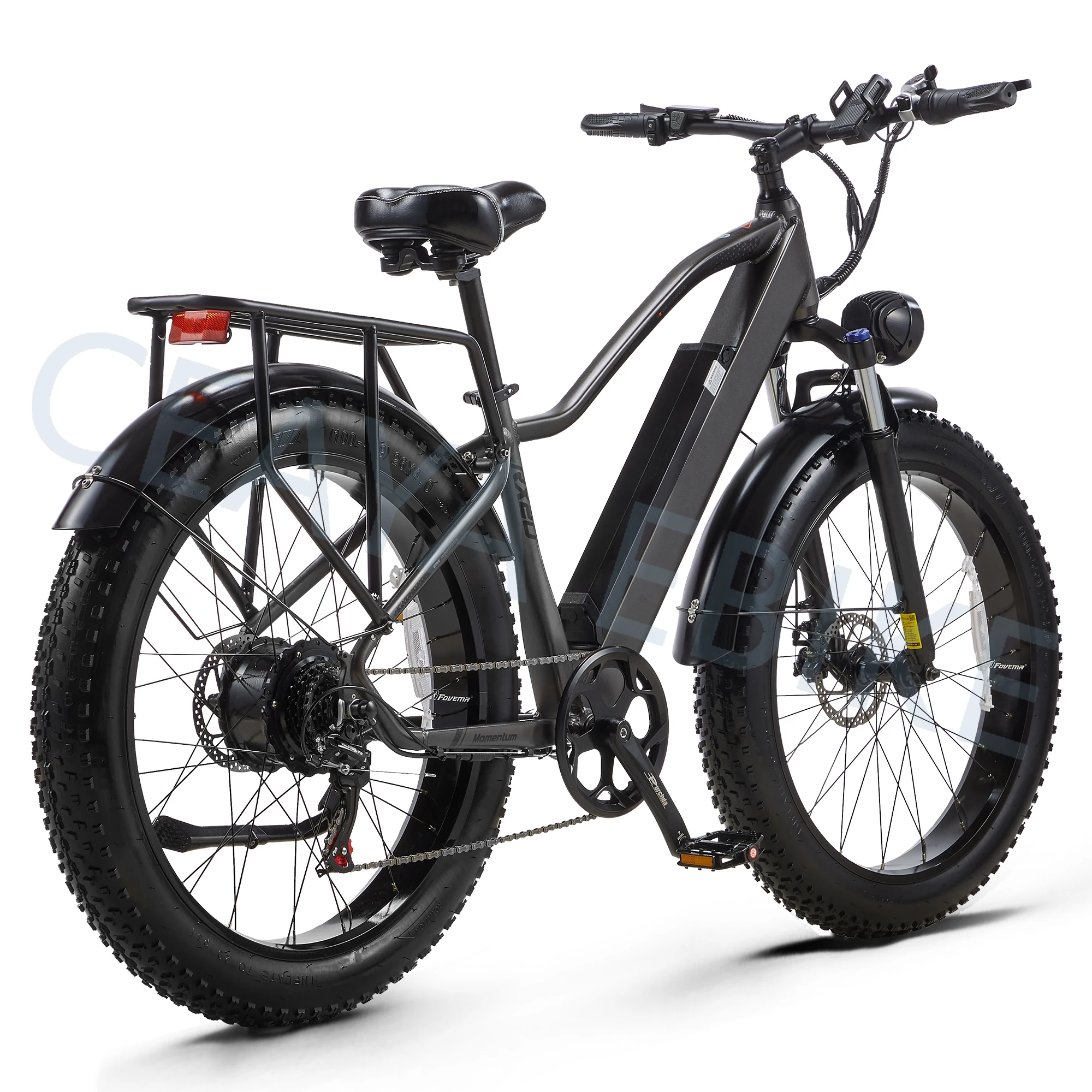 RX20 Electric bike 26*4.0 fat tyre ebike 48V/20A Removable Battery E-mountainbike 1000W Motor Commute E-Bike Men & Women