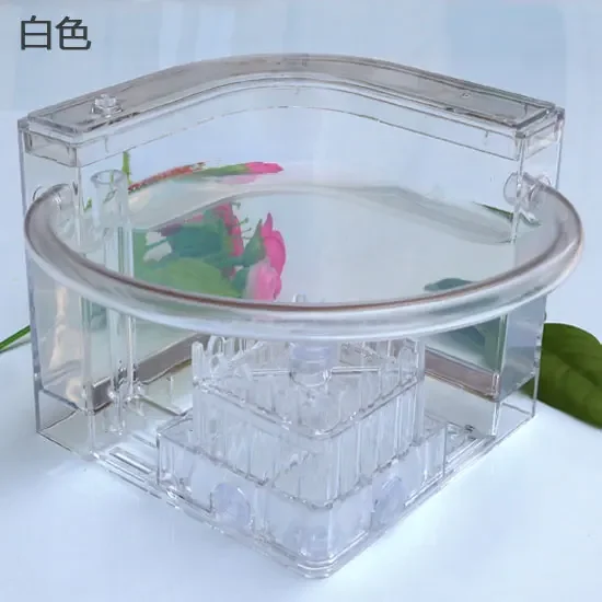 Thumbnail 4 - #30 Best Ant Farms to Buy In 2026