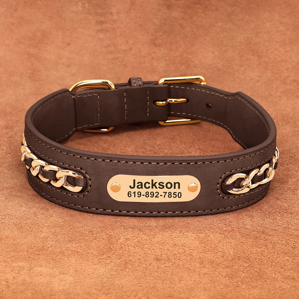 Collier d\'Identification Personnalisé en Cuir Durable pour Chien, Accessoire Anti-Perte avec Étiquette Nominative, pour Petit, Moyen et Grand Gabarit