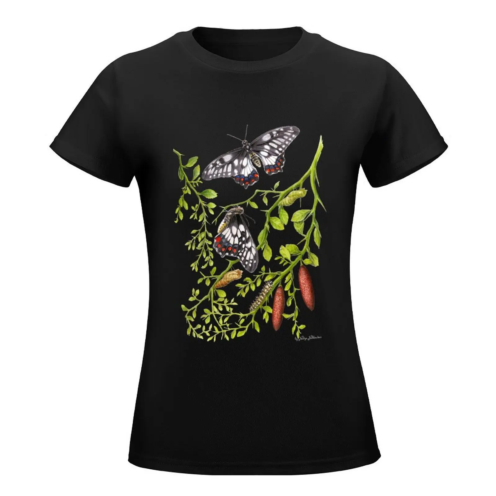 Dainty Swallowtail Butterfly Life Cycle on Native Lime - Dark Background T-Shirt sports fans Woman T-shirts