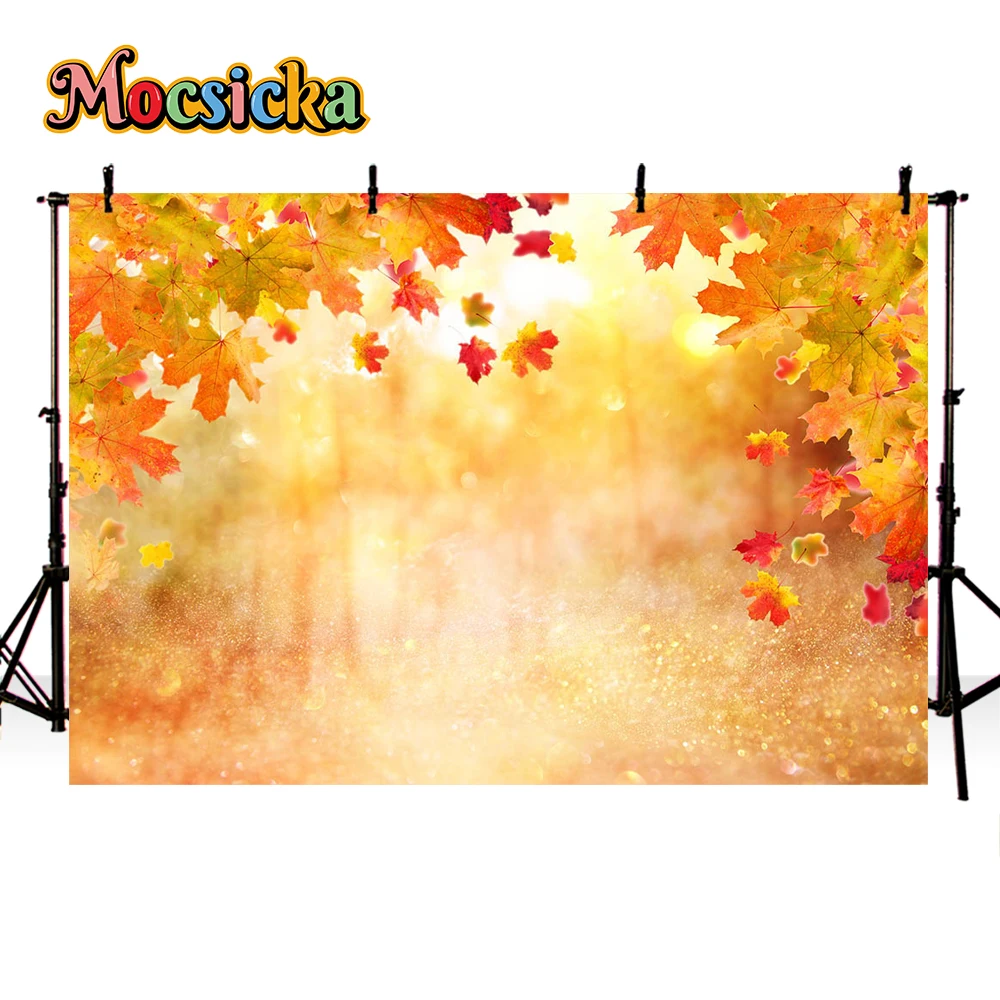 Autumn Forest Series Kids Photography Backgrounds Halloween Fall Leaves Portraits Portraits Baby Photo Banner Holiday Background