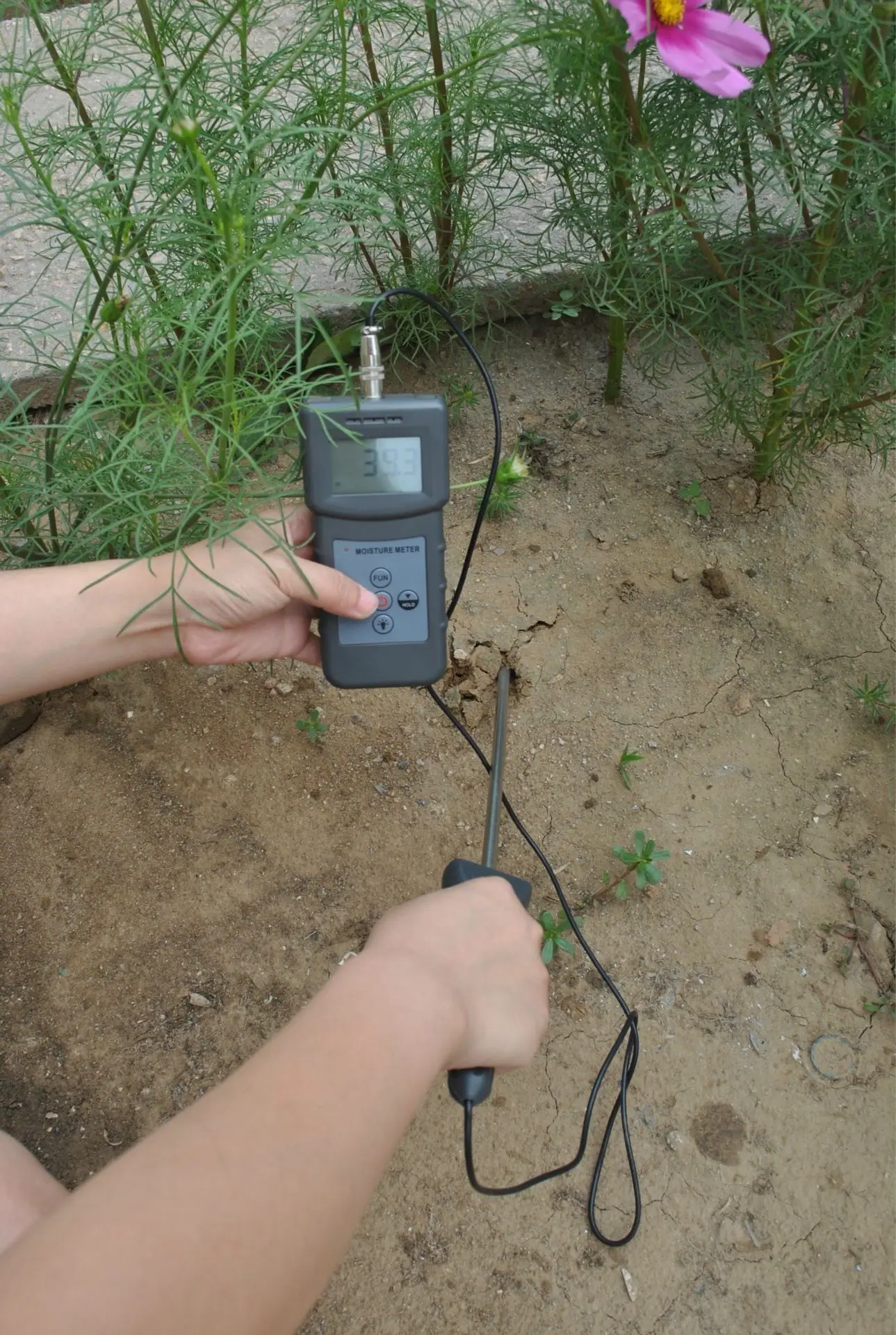 2022 pms710 medidor de umidade do solo digital analisador de umidade do solo teste de areia do rio terra de cimento ferramenta de sensor de plater 0-50% gama