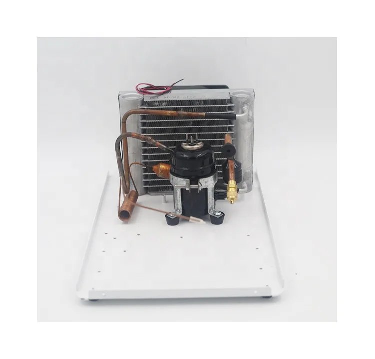 Dc 12v 24v Mini Refrigeration Unit Condensing Unit Air Cooler for air Conditioner Red Win Chiller Car Refrigerator Dehumidifier