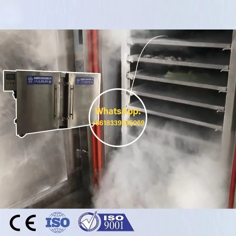 Industrial IQF Blast Tunnel Freezer Shock Spiral Freezer Fluidized-Bed Blast Chiller Quick Freezing Room Refrigeration Equipment