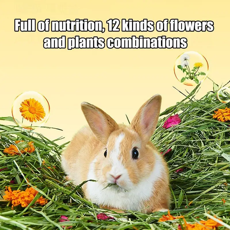 Rabbits Food Hay Sa… - image