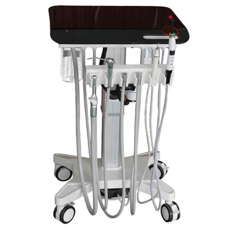 Veterinary Equipment Built-in Ultrasonic Dental Scaler - Woodpecker Injector Mobile Therapy Machine for Veterinary Examinations