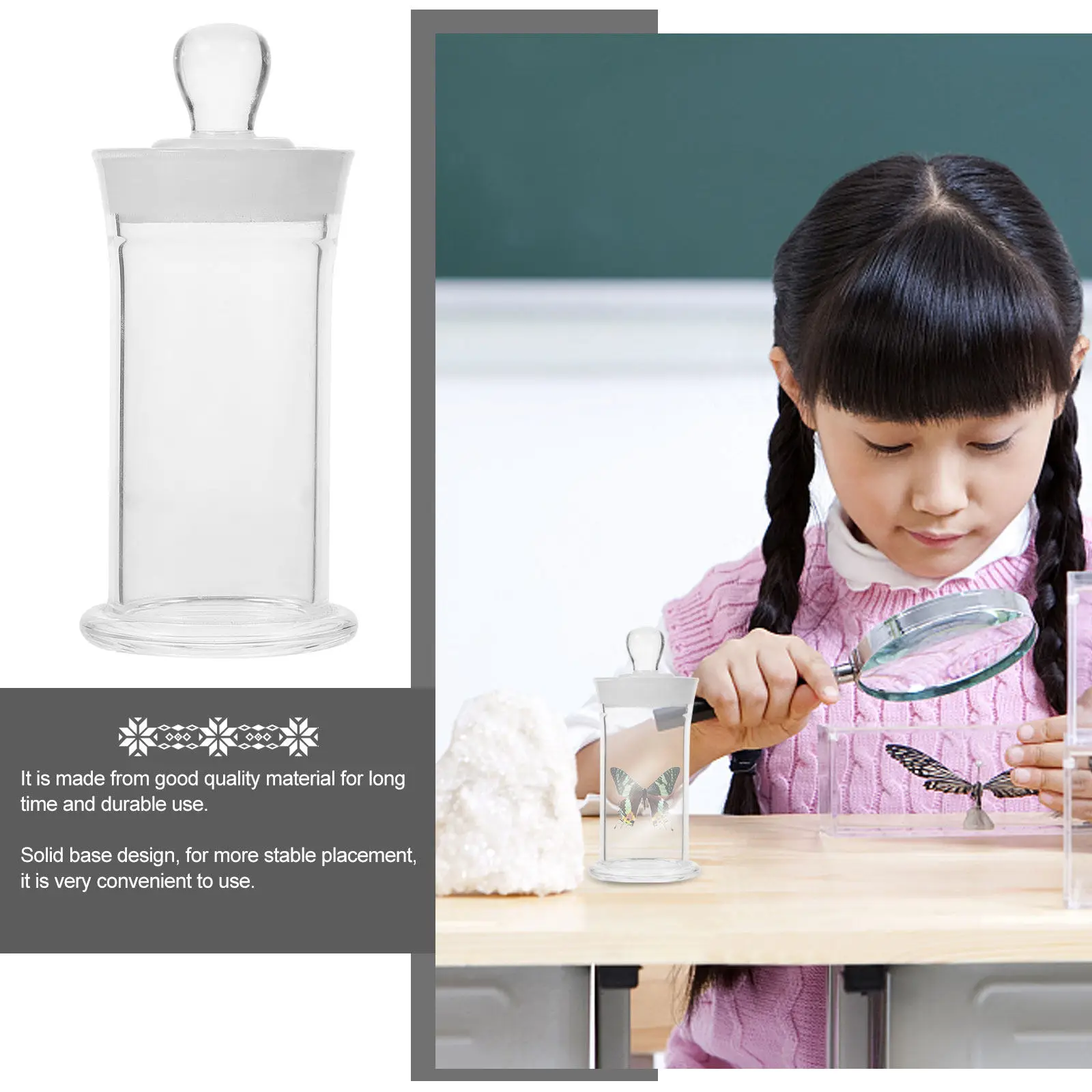Professional Sample Bottle Transparent Glass Laboratory Bottle Stable Base Specimen Vial for Science Education Research