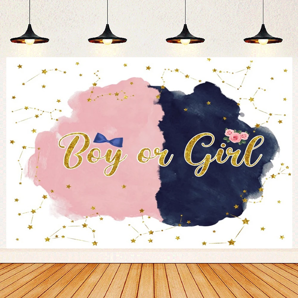 Newborn Baby Gender Reveal Party Background He or She Baby Shower Boy or Girl Pink and Blue Family Photo Area Photo Backdrop