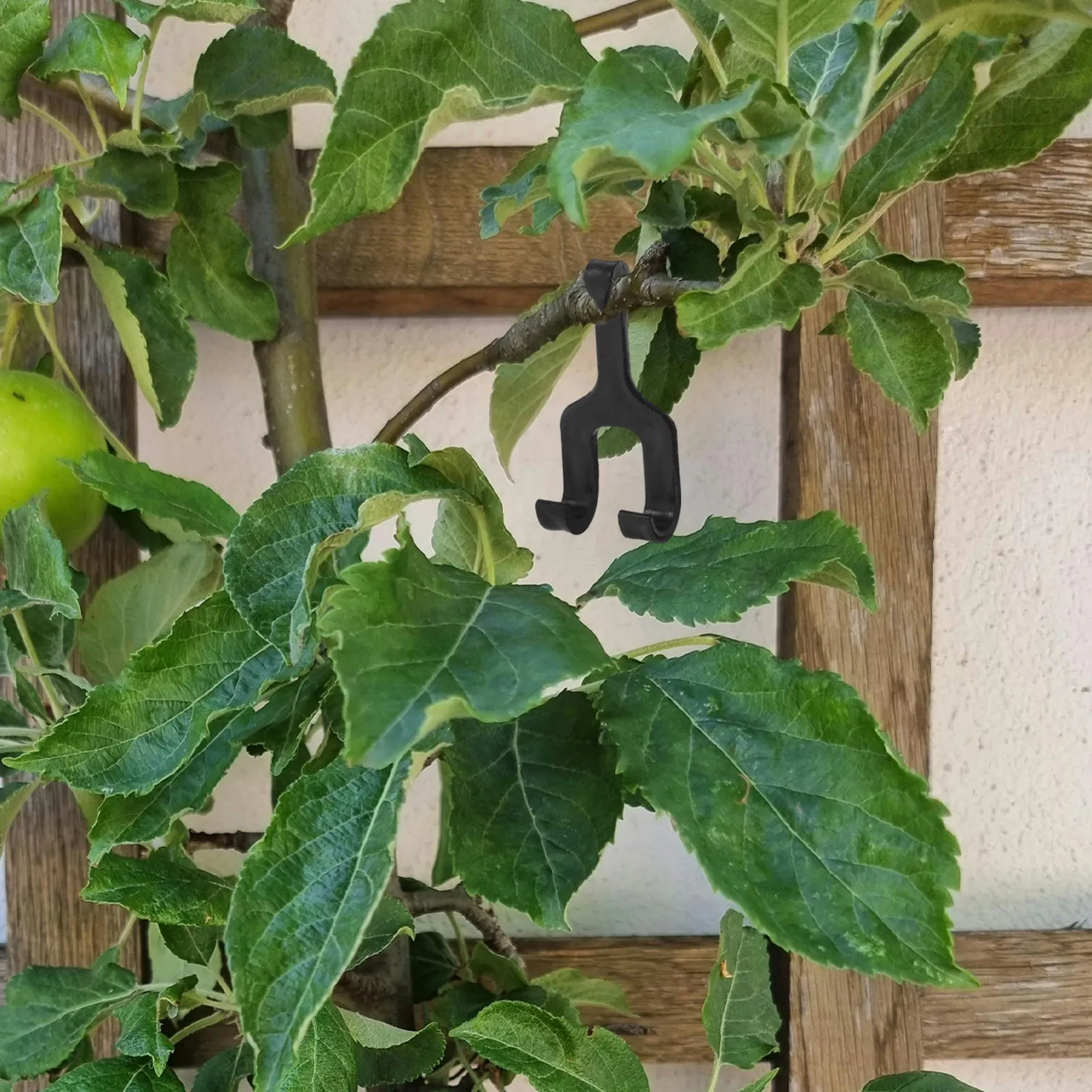 50Pcs Cantaloupe Support Hook Thickened Garden Clamp for Melons Honeydew Watermelon Pumpkin Prevents Vine Damage Wall