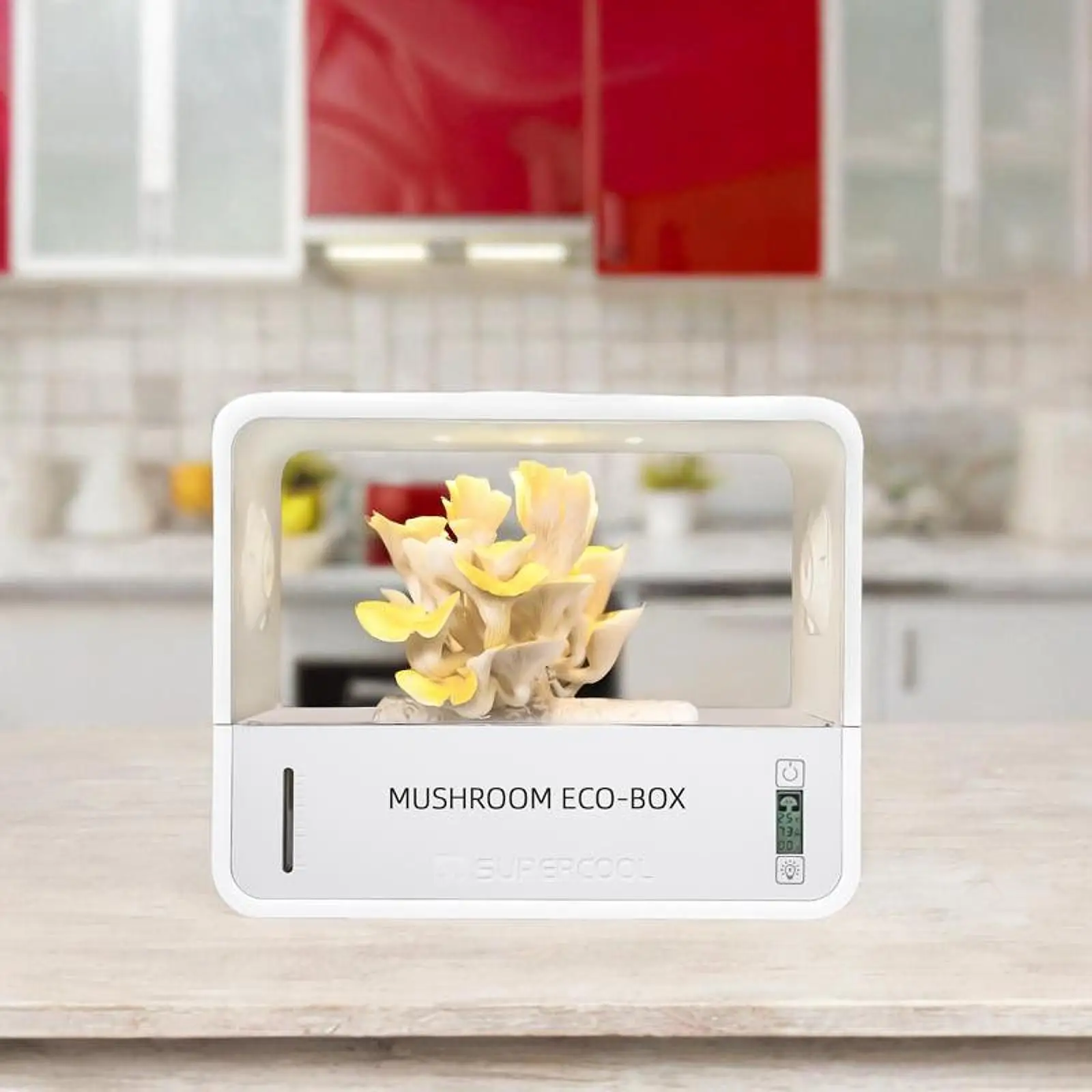 

Smart Monotub Growing Kit with Grow Light Greenhouse Sturdy Frame Mushroom Fruiting Chamber Mushroom Grow Tent for Home Lovers