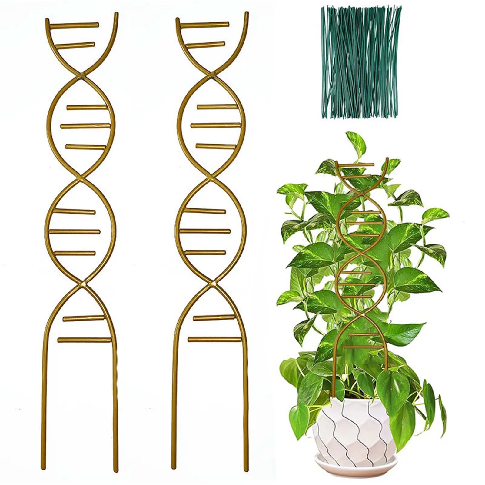 

Plants Support Metal Trellis Practical Climbing Plant Lattice Frame for Indoor and Outdoor Plants Iron Golden Plants Support