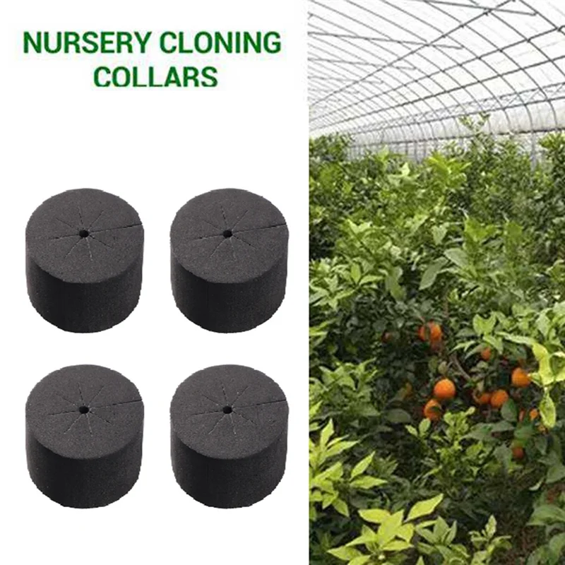 40Pcs Garden Clone Collars Neoprene Inserts Sponge Block for 2 Inch Net Pots Hydroponics Systems and Cloning Machines
