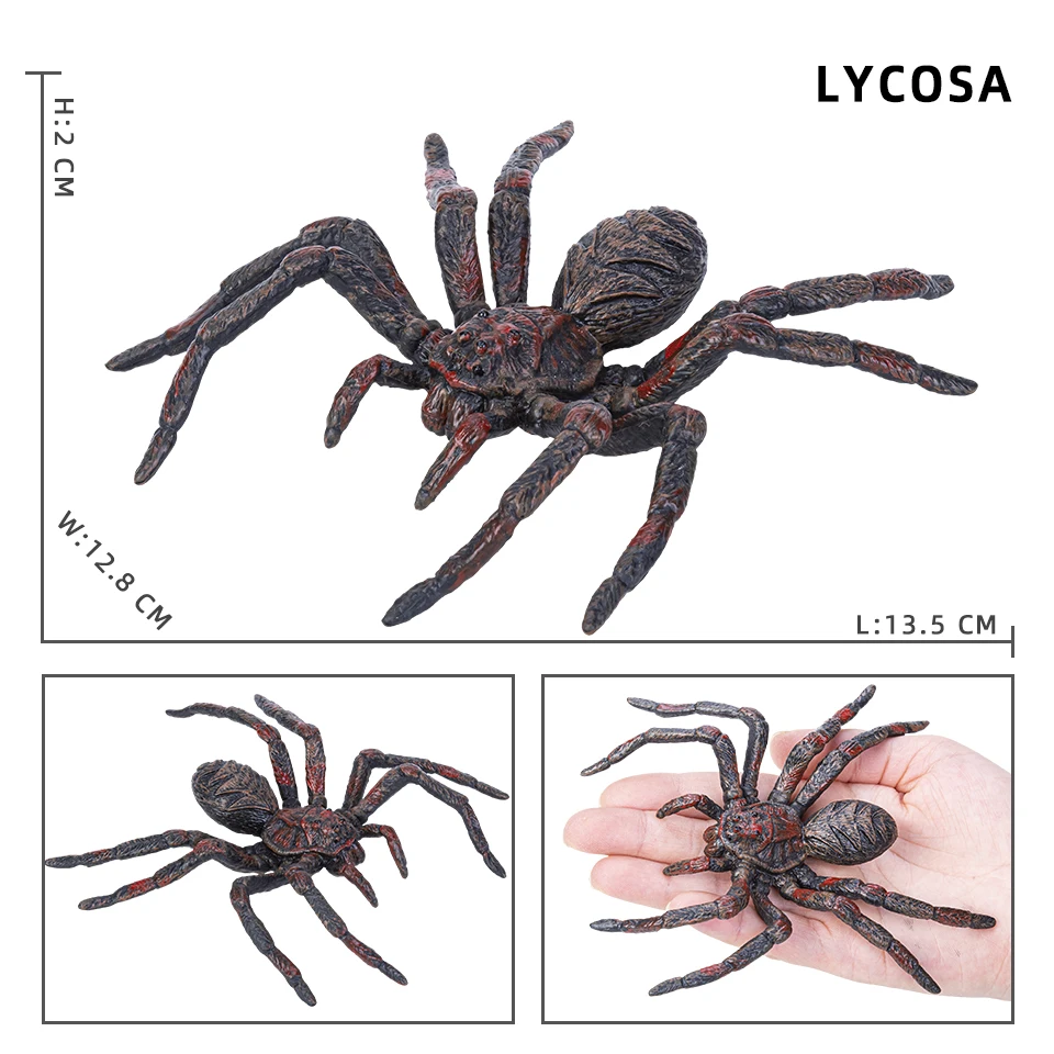 Simulation Tiere Insekt Solide Modell Spinne Tarantula Schwarze Spinne Halloween Scary Action-figuren Pädagogisches Spielzeug Für Kinder – Detail 7