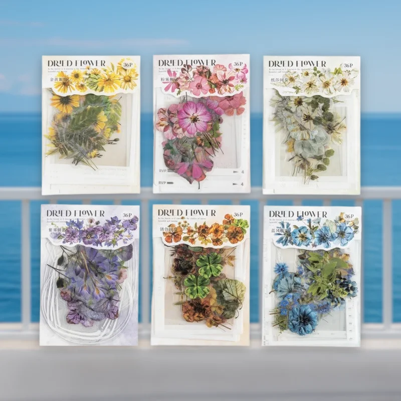 Dried Flower Ode Se…