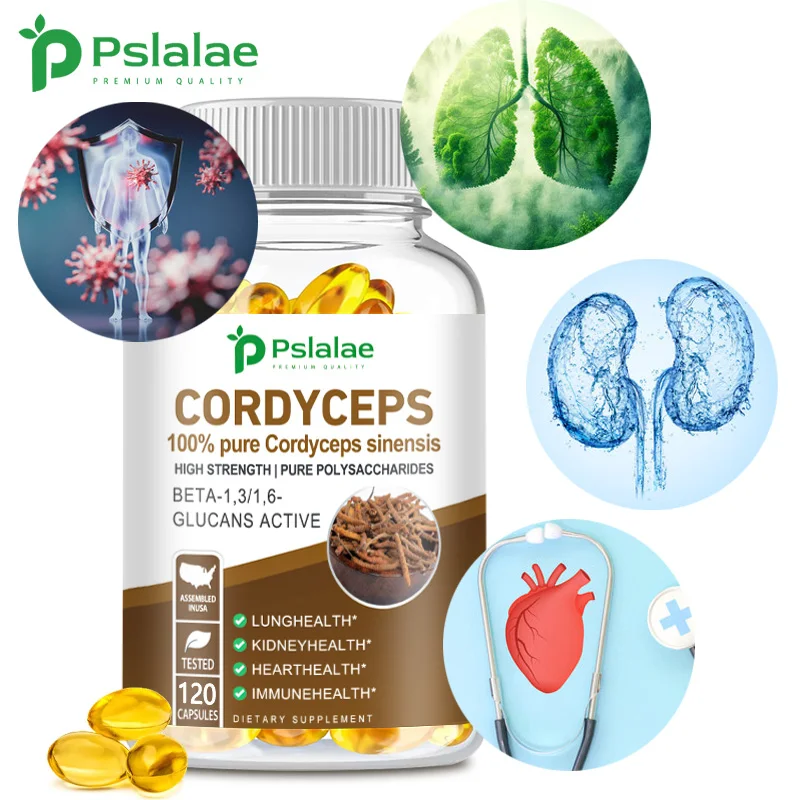 

Cordyceps Sinensis 100% Pure Cordyceps Sinensis Extract - Improve immunity - High Strength, Pure Polysaccharide