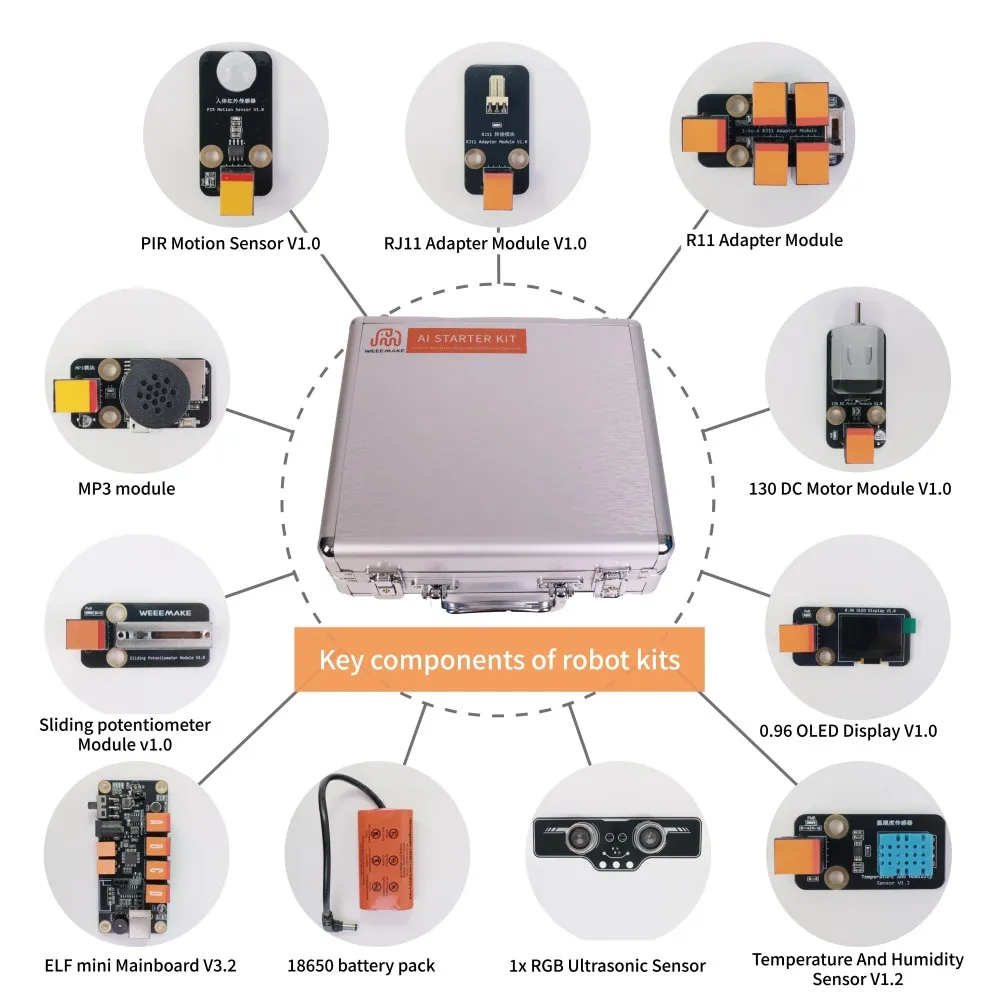 Middle East Programming Curriculum Starter Kit Ai Robot Stem Education Electronics Projects for Pre Primary School