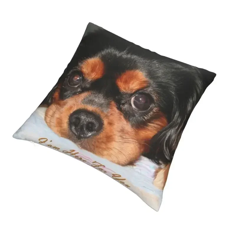 Poszewki na poduszki Kanalier King Charles Spaniel Puppy Sofa Pokój dzienny Zwierzę Pies Kwadratowa poszewka na poduszkę 40x40