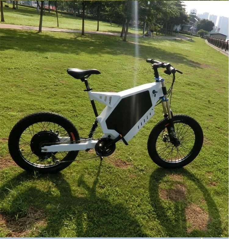Rent a Electric Bike 48v 2000w 26 Inch Fat Tire Electric E Bikes 40 Mph Electric Bike Germany
