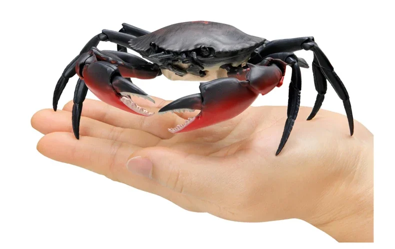 Bandai Gashapon Toys Crab Gashapon Series Simulation Model Crab Action Figure Ornaments Toys for Christmas