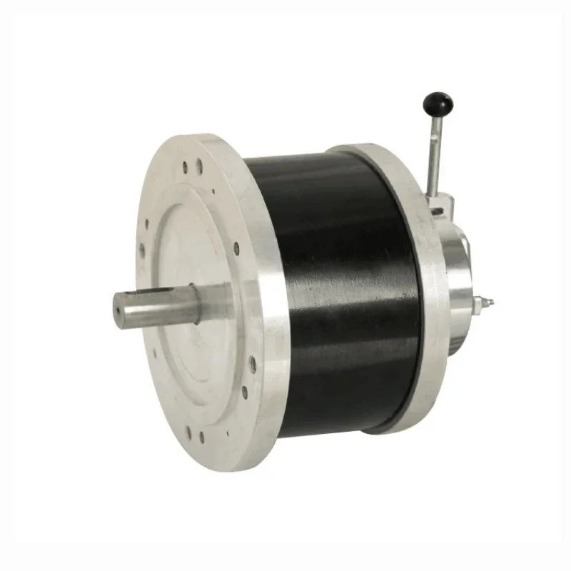 electric car motor