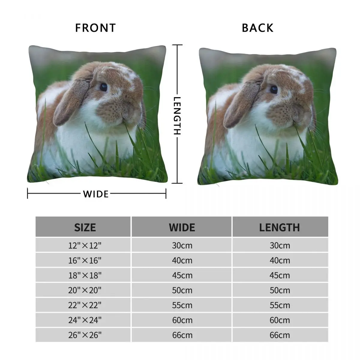 Holland Lop Munching On Grass Pillowcase Polyester Linen Velvet Printed Zip Decorative Pillow Case Sofa Cushion Cover Wholesale