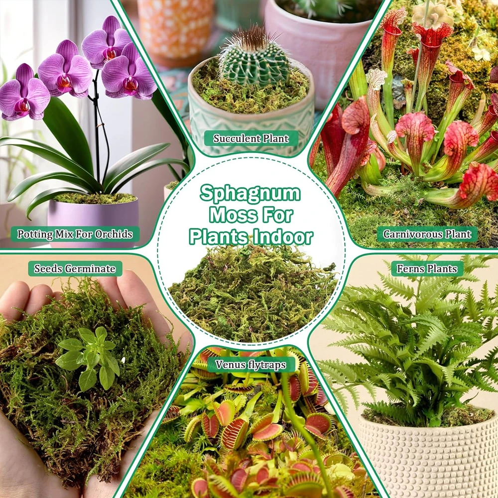 Natural Dried Moss, Artificial - Preserved Moss Sheet recension och pris