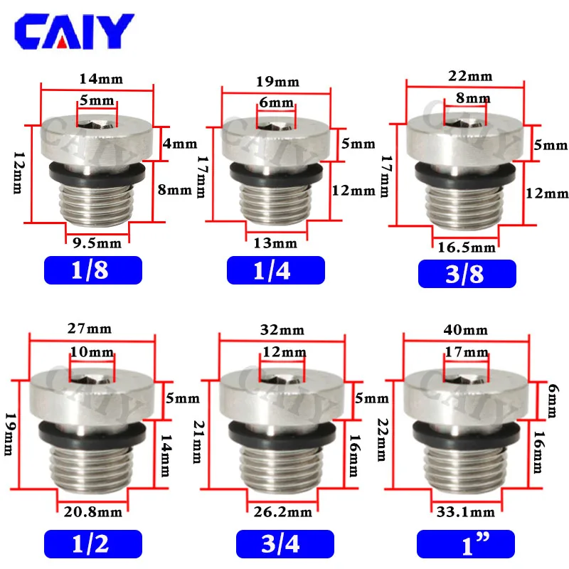 1/8 "1/4" 3/8 "1/2" BSP Male 304 baja tahan karat tutup ujung soket Hex cincin karet Fluorine flensa segi enam pasang pipa minyak air pas