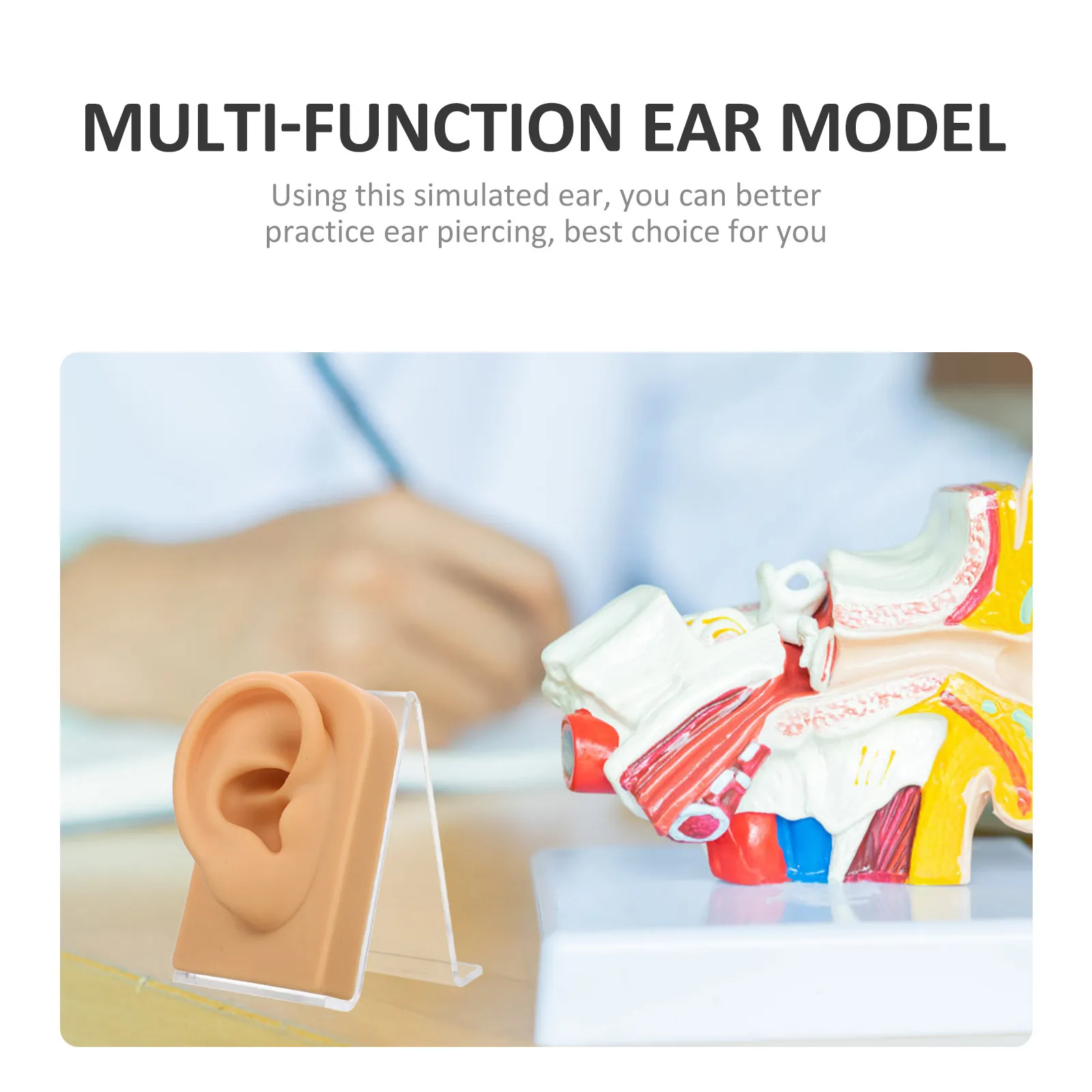

1Set Silicone Ear Professional Decorative Fake Ear Multi-Function Desktop Earring Holder Wear-Resistant Training Display Supply