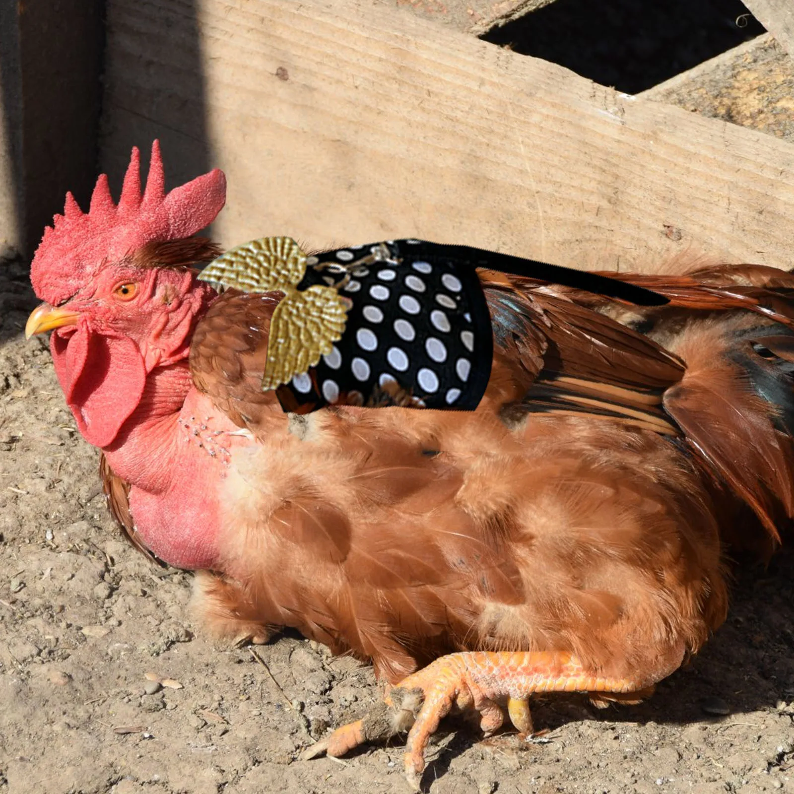 

Chicken Duck Jacket Pet Bird Hen Clothes Vest Warm Fashion Outfit Hen Costume Goose Costume Adjustable Leash Harness