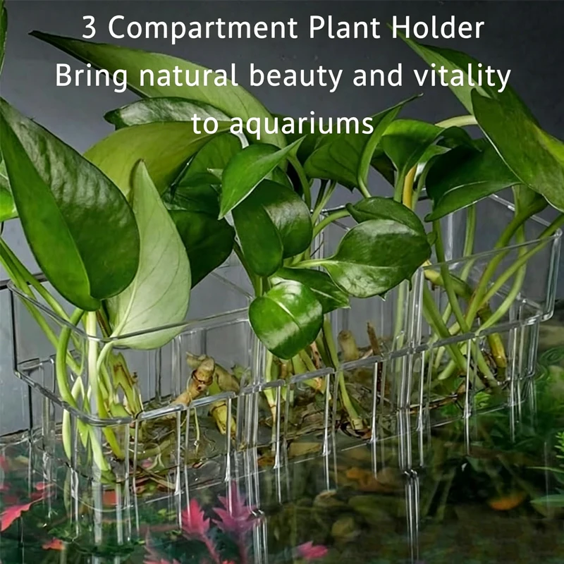 水槽用透明水耕栽培バスケット 壁掛け式水生植物スタンド -  - Aquarium Planted Wall のレビューと価格