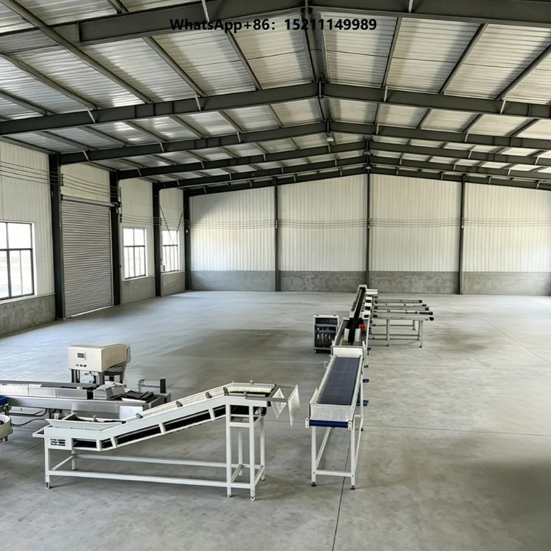 PLC Controlled Fruit Vegetable Sorting Machine Flexible Grade Setting for Different Fresh Agricultural Products