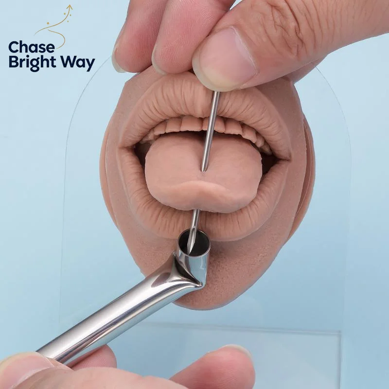 Edelstahl-Piercing-Empfangsröh – Body Jewelry Tool Bewertung und Preis
