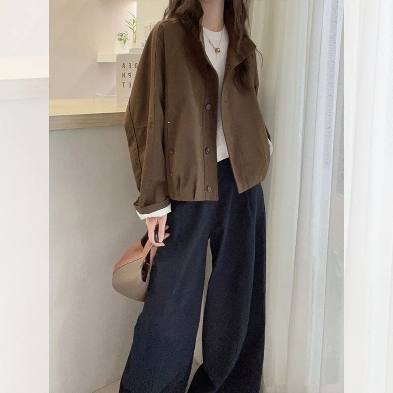 Fashionable European Short Outerwear Simple Stand Collar Single Row Loose Versatile Commuting Anti-Aging Coat for Women