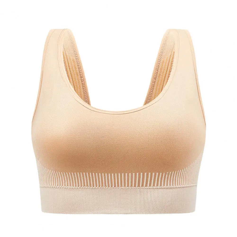 Women Gather No Steel Ring Lingerie Bra Tube Top Wrapped Chest Beauty Back Actival Cotton Thin Section Tube Top Sexy Underwear