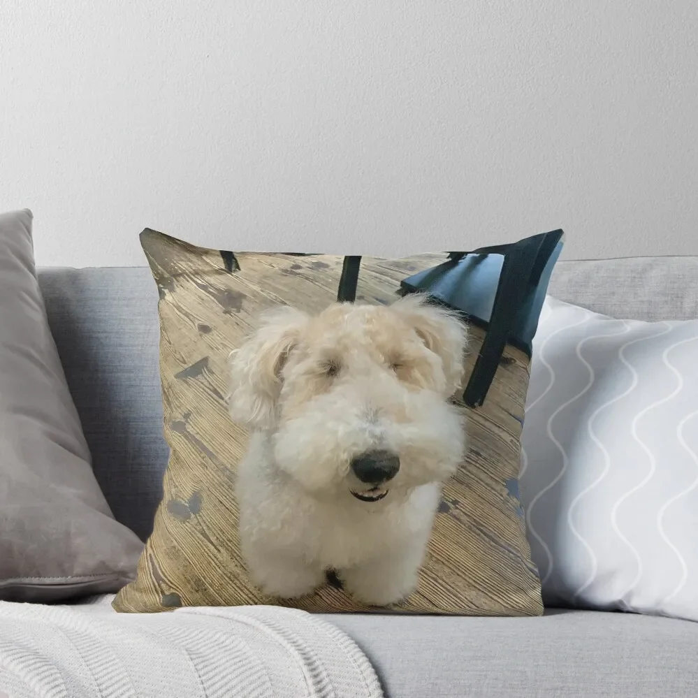 Hilarious looking dog Borotan Throw Pillow Elastic Cover For Sofa Sofa Cover luxury decor pillow