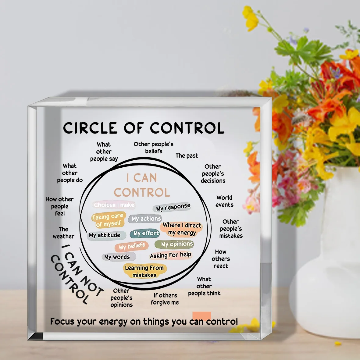 Acrylic decoration for control circle, controllable and uncontrollable treatment office decoration, mental health soothing