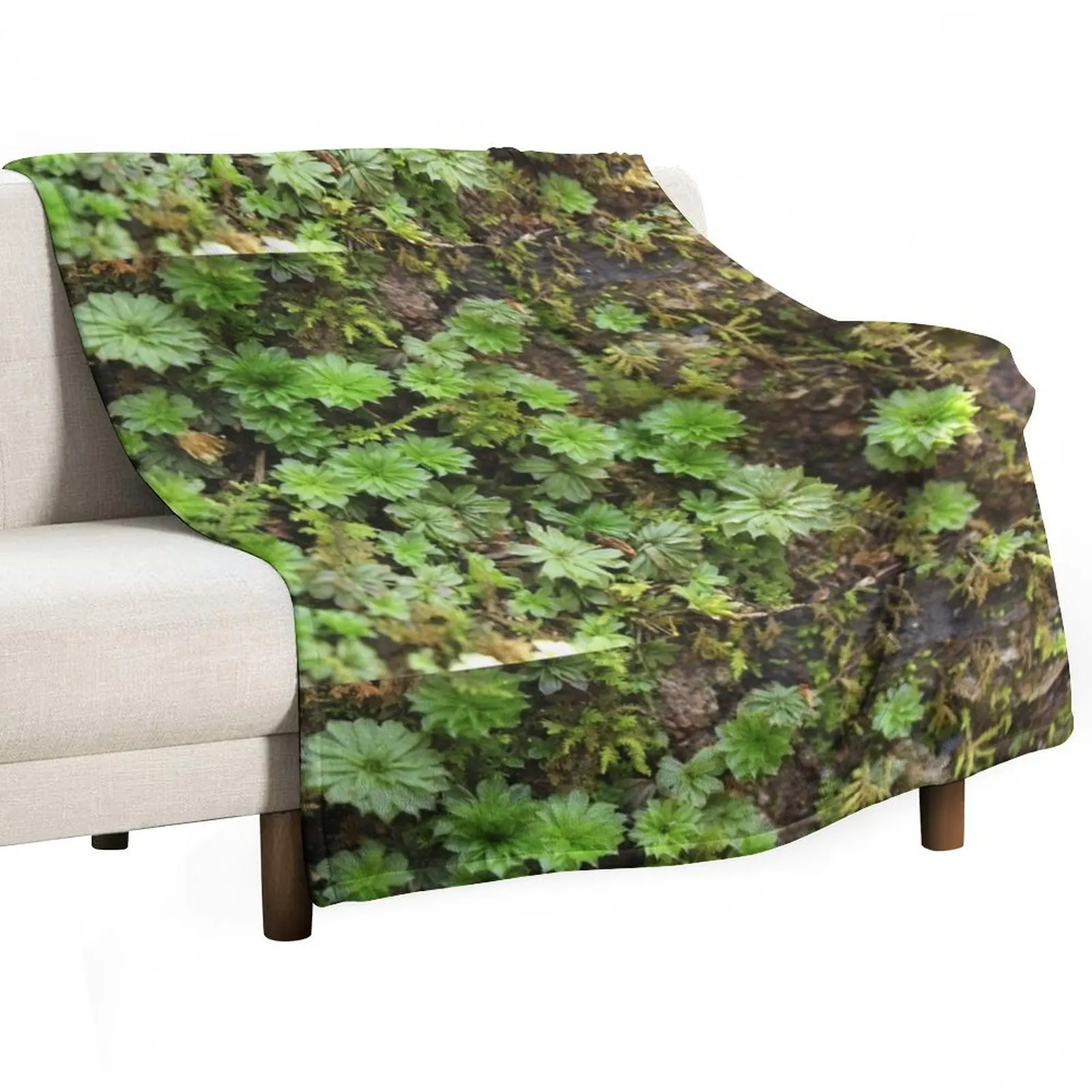 

Fern-like Moss closeup on forest floor Throw Blanket Soft Giant Sofa Decoratives Bed linens Blankets